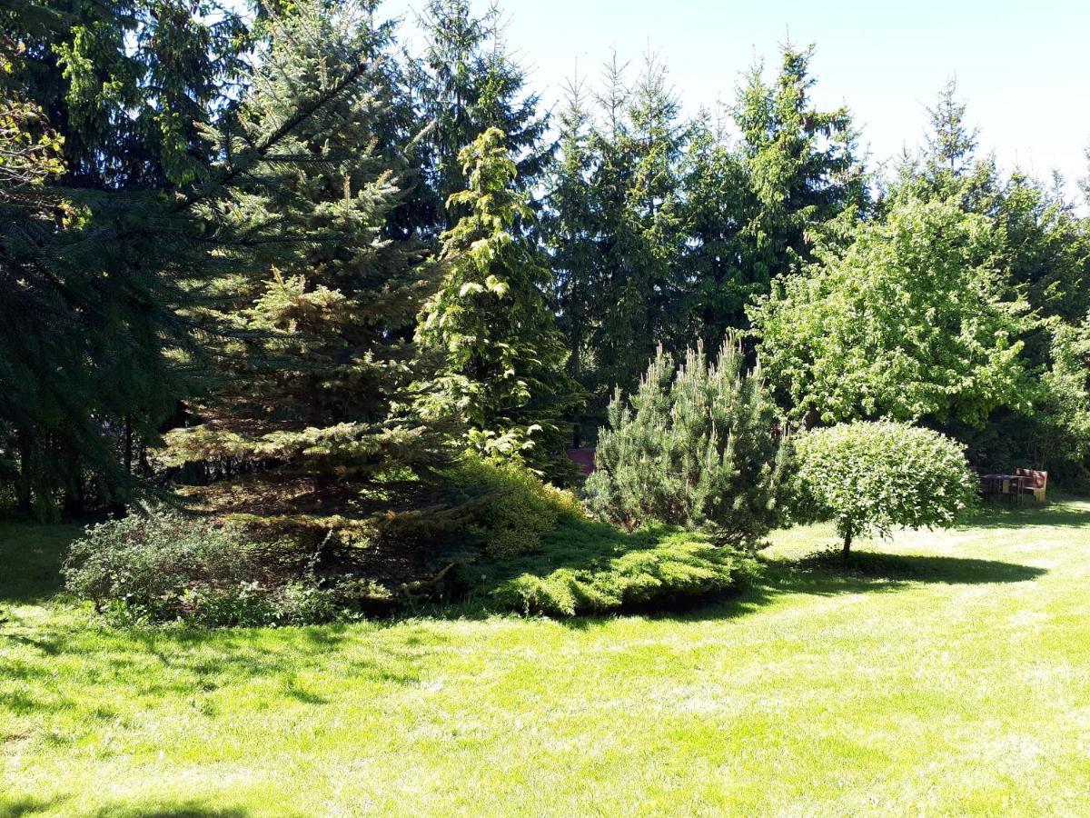 Agroturystyka Druzno Elblag Exteriér fotografie